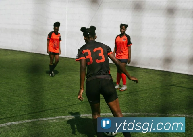 东升国际服务体系